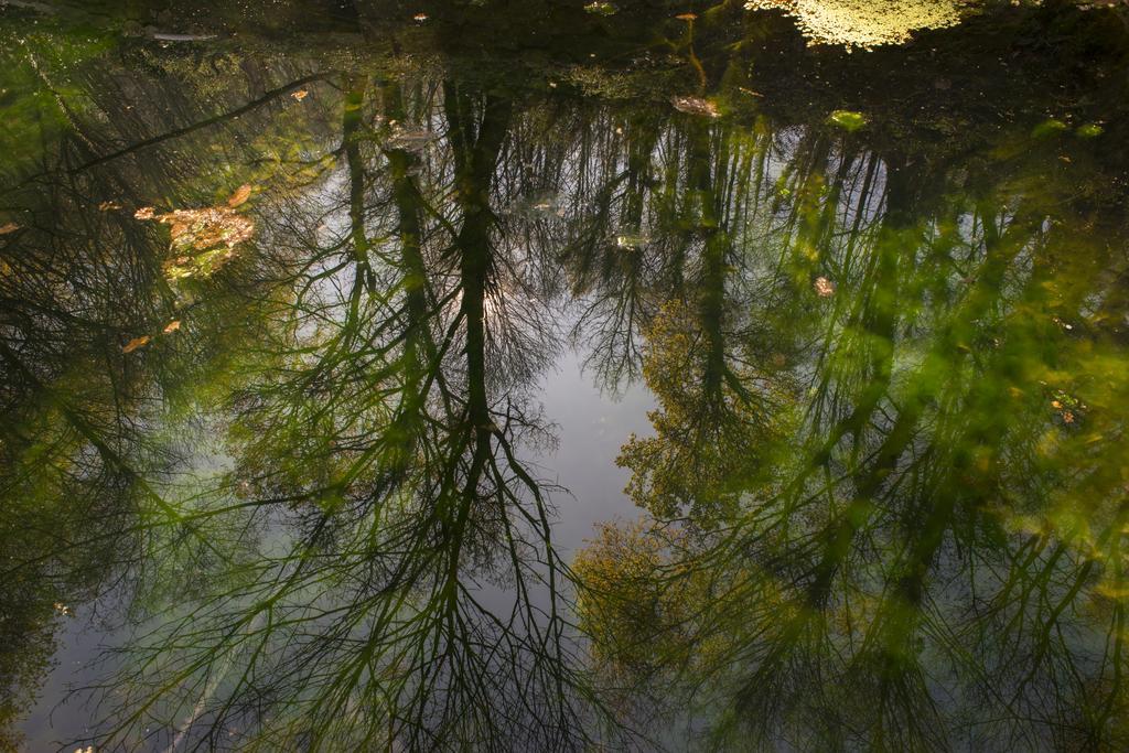 ヴォウゼーラ Quinta Do Fonteloヴィラ エクステリア 写真