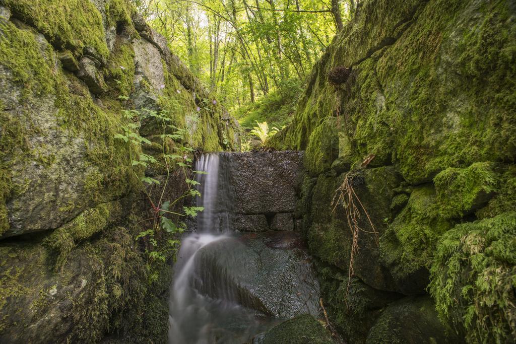 ヴォウゼーラ Quinta Do Fonteloヴィラ エクステリア 写真