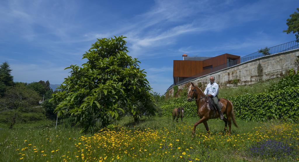 ヴォウゼーラ Quinta Do Fonteloヴィラ エクステリア 写真