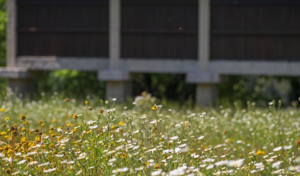 ヴォウゼーラ Quinta Do Fonteloヴィラ エクステリア 写真