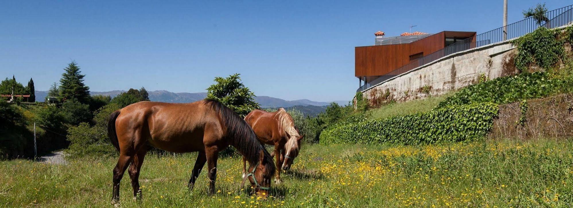 ヴォウゼーラ Quinta Do Fonteloヴィラ エクステリア 写真
