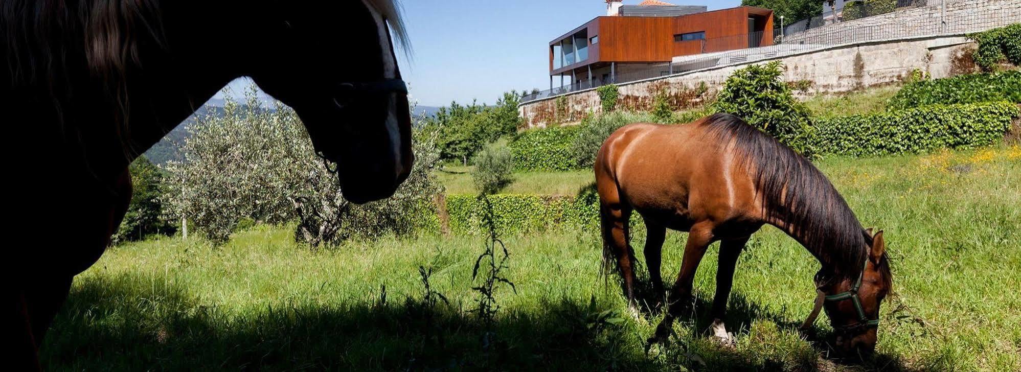 ヴォウゼーラ Quinta Do Fonteloヴィラ エクステリア 写真