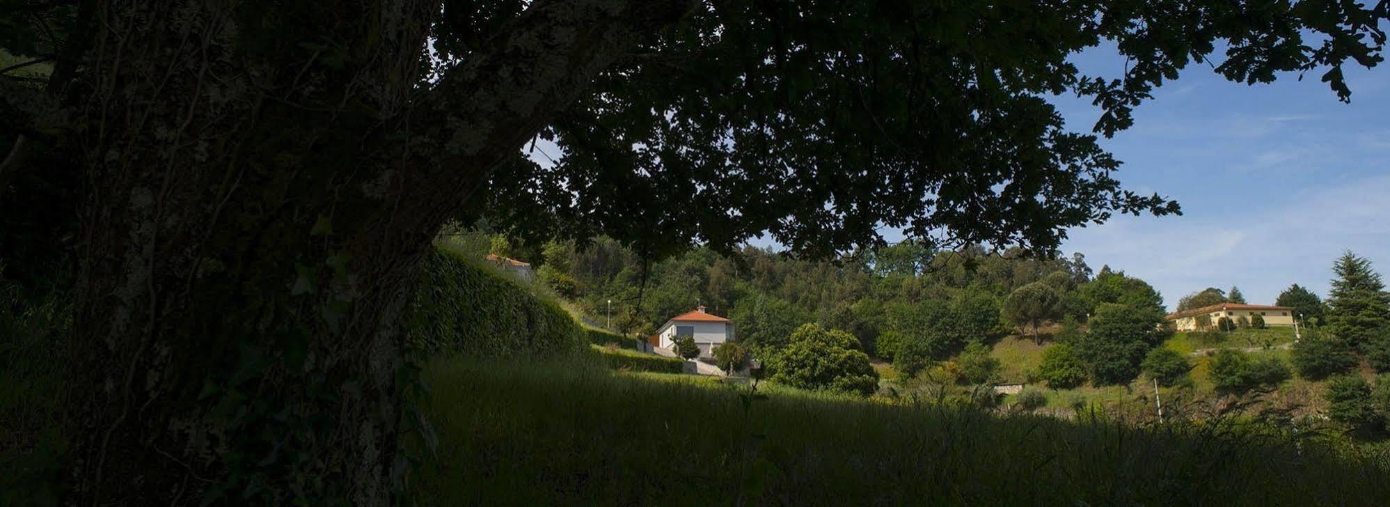 ヴォウゼーラ Quinta Do Fonteloヴィラ エクステリア 写真