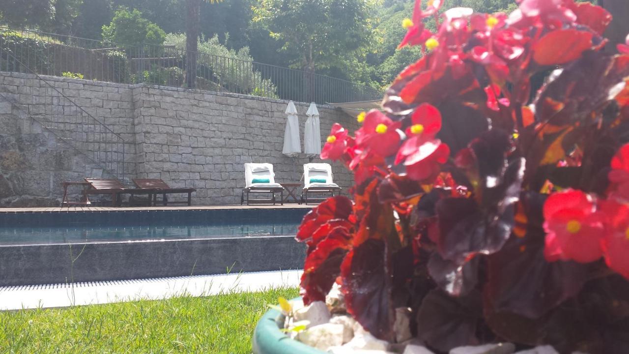 ヴォウゼーラ Quinta Do Fonteloヴィラ エクステリア 写真